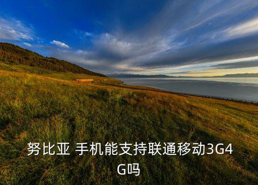 努比亞手機(jī)移動(dòng)數(shù)據(jù)