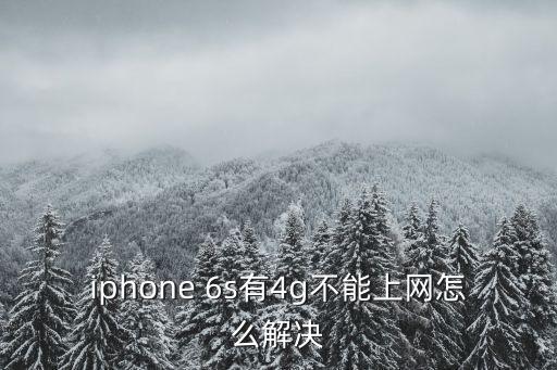 6s開數(shù)據(jù)后網(wǎng)絡(luò)用不了怎么回事啊