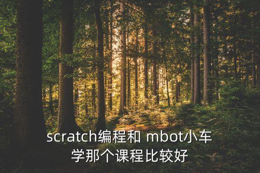 scratch編程和 mbot小車學(xué)那個課程比較好