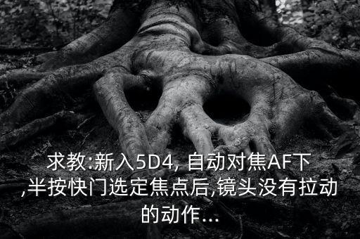 求教:新入5D4, 自動對焦AF下,半按快門選定焦點后,鏡頭沒有拉動的動作...