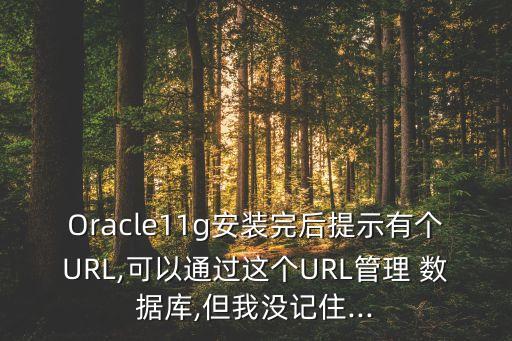 Oracle11g安裝完后提示有個URL,可以通過這個URL管理 數(shù)據(jù)庫,但我沒記住...