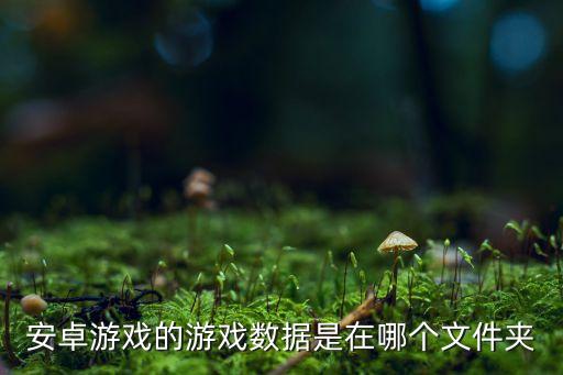安卓游戲的游戲數(shù)據(jù)是在哪個(gè)文件夾
