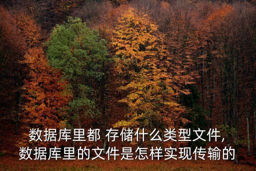  數(shù)據(jù)庫里都 存儲什么類型文件, 數(shù)據(jù)庫里的文件是怎樣實現(xiàn)傳輸?shù)? class=