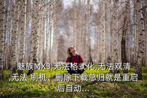  魅族MX3,無法格式化,無法雙清,無法 刷機、刪除下載總歸就是重啟后自動...
