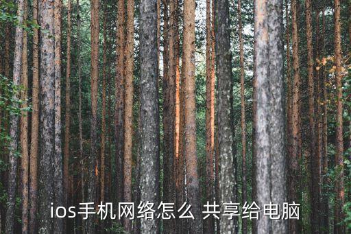 ios手機(jī)網(wǎng)絡(luò)怎么 共享給電腦