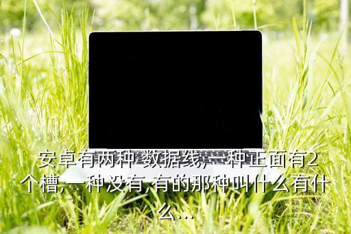 安卓有兩種 數(shù)據(jù)線,一種正面有2個(gè)槽,一種沒有,有的那種叫什么有什么...