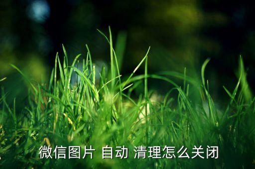 微信的圖片自動清理軟件,微信自動清理如何開始?看這里!