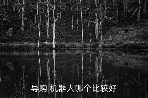 導(dǎo)購 機器人哪個比較好