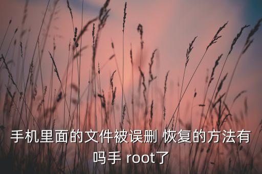 數據恢復 root