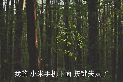 小米自動雨傘按鍵壞掉了能手動么