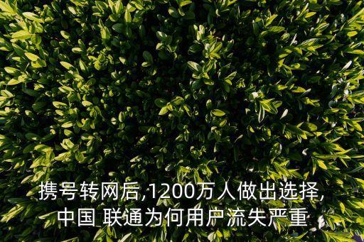 攜號(hào)轉(zhuǎn)網(wǎng)后,1200萬(wàn)人做出選擇,中國(guó) 聯(lián)通為何用戶(hù)流失嚴(yán)重