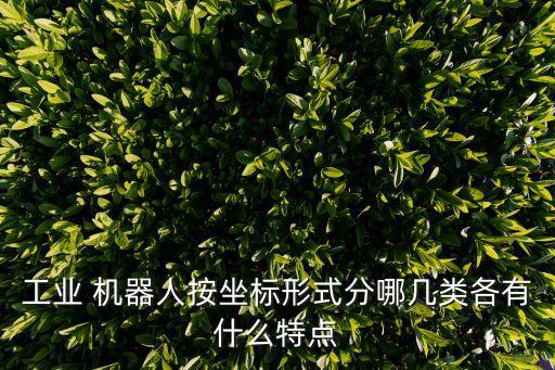 工業(yè) 機器人按坐標形式分哪幾類各有什么特點