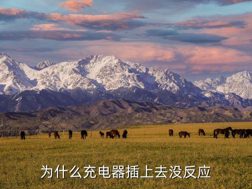 小辣椒x1數(shù)據(jù)線沒有反應