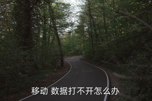 手機開不數(shù)據(jù)