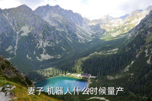 妻子 機(jī)器人什么時(shí)候量產(chǎn)