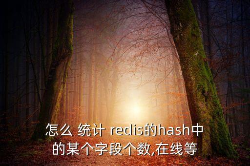 怎么 統(tǒng)計(jì) redis的hash中的某個(gè)字段個(gè)數(shù),在線等