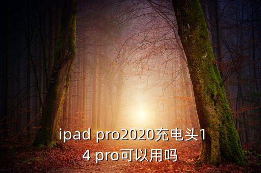 ipad pro 數(shù)據(jù)線