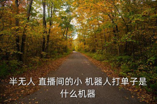 半無(wú)人 直播間的小 機(jī)器人打單子是什么機(jī)器