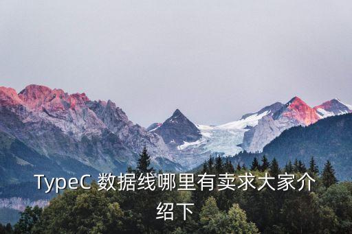 TypeC 數(shù)據(jù)線哪里有賣求大家介紹下