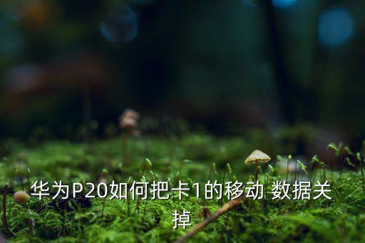 華為P20如何把卡1的移動 數(shù)據(jù)關(guān)掉