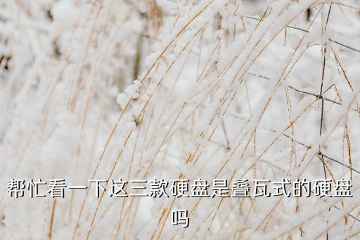 幫忙看一下這三款硬盤是疊瓦式的硬盤嗎