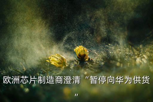 西部數(shù)據(jù)營(yíng)收,西部閃電和西部數(shù)據(jù)