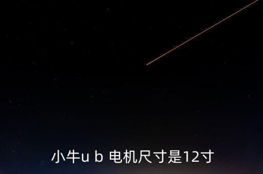  小牛u b 電機尺寸是12寸