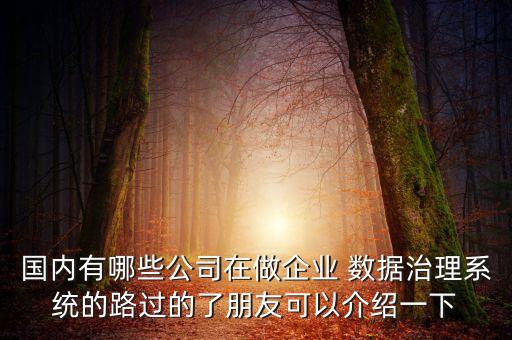 國內(nèi)有哪些公司在做企業(yè) 數(shù)據(jù)治理系統(tǒng)的路過的了朋友可以介紹一下