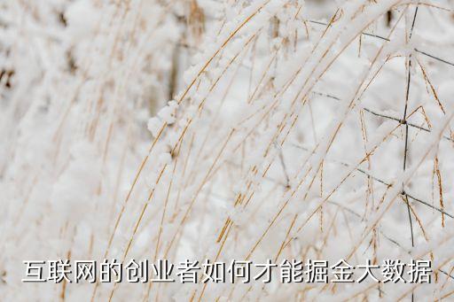 互聯(lián)網(wǎng)的創(chuàng)業(yè)者如何才能掘金大數(shù)據(jù)