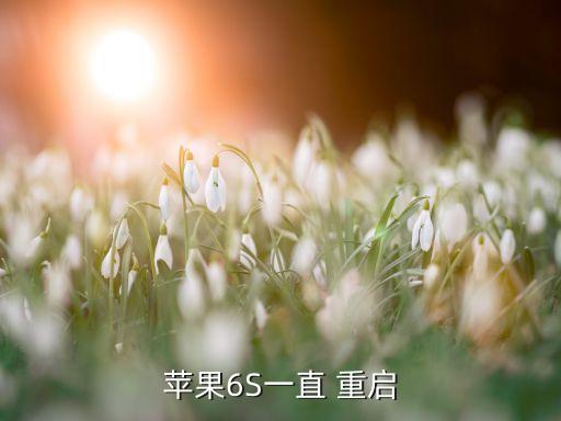 蘋果6S一直 重啟