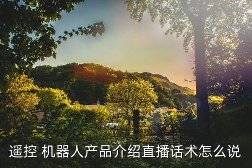 遙控 機(jī)器人產(chǎn)品介紹直播話術(shù)怎么說