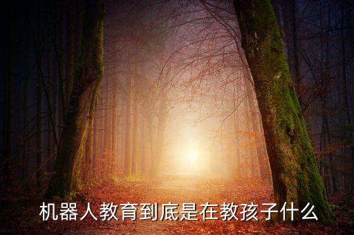  機(jī)器人教育到底是在教孩子什么