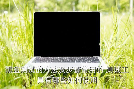 黑盒測試的方法及步驟常用的 測試工具有哪些如何使用