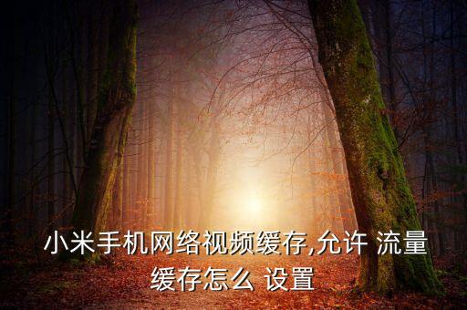  小米手機(jī)網(wǎng)絡(luò)視頻緩存,允許 流量緩存怎么 設(shè)置