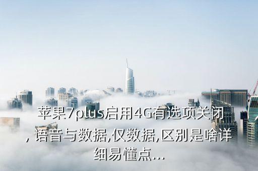  蘋果7plus啟用4G有選項(xiàng)關(guān)閉, 語(yǔ)音與數(shù)據(jù),僅數(shù)據(jù),區(qū)別是啥詳細(xì)易懂點(diǎn)...