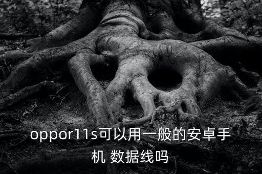 oppor11s可以用一般的安卓手機 數(shù)據(jù)線嗎