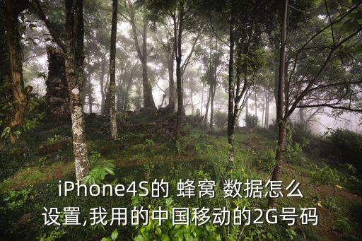 iPhone4S的 蜂窩 數(shù)據(jù)怎么設(shè)置,我用的中國移動(dòng)的2G號碼