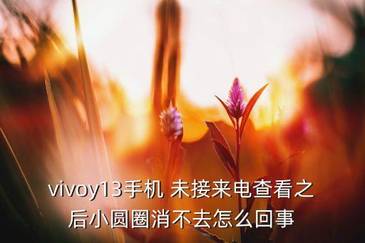 vivoy13手機 未接來電查看之后小圓圈消不去怎么回事