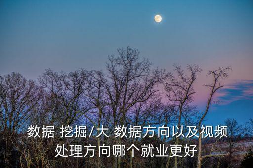 大數(shù)據(jù)是對(duì)數(shù)據(jù)挖掘,數(shù)據(jù)開(kāi)發(fā)和數(shù)據(jù)挖掘區(qū)別