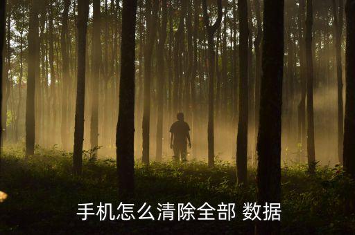 手機怎么清除全部 數(shù)據(jù)