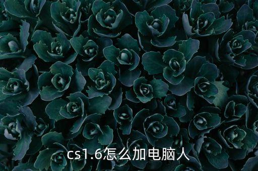 cs1.6怎么加電腦人