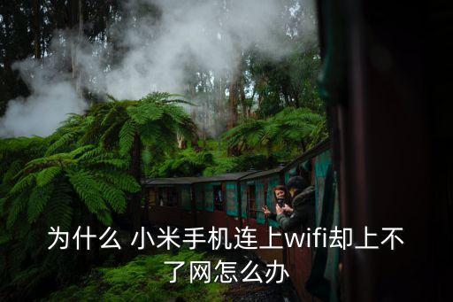 為什么 小米手機(jī)連上wifi卻上不了網(wǎng)怎么辦