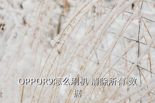 OPPOR9怎么刷機(jī) 清除所有 數(shù)據(jù)