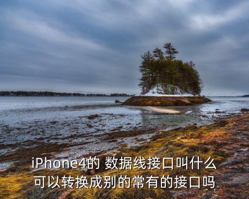 iPhone4的 數(shù)據(jù)線接口叫什么可以轉(zhuǎn)換成別的常有的接口嗎