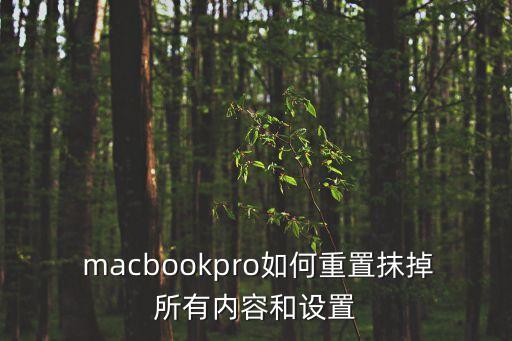  macbookpro如何重置抹掉所有內(nèi)容和設(shè)置