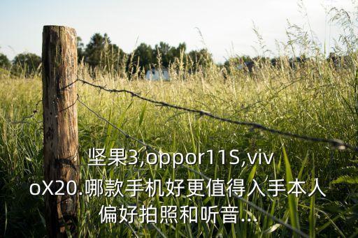 堅果3自動翻轉功能評測
