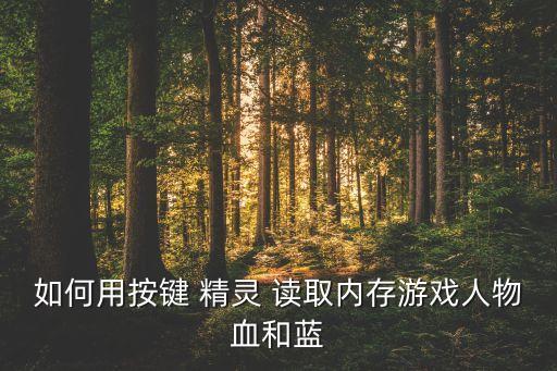 如何用按鍵 精靈 讀取內(nèi)存游戲人物血和藍(lán)