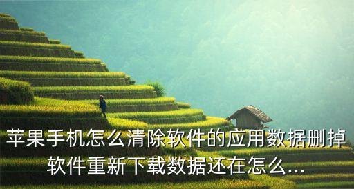 ios app卸載保留了數(shù)據(jù) 怎么去除