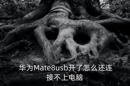  華為Mate8usb開了怎么還連接不上電腦