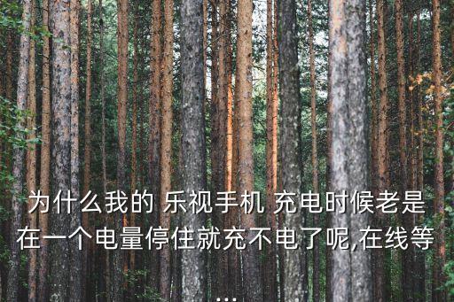為什么我的 樂視手機(jī) 充電時候老是在一個電量停住就充不電了呢,在線等...